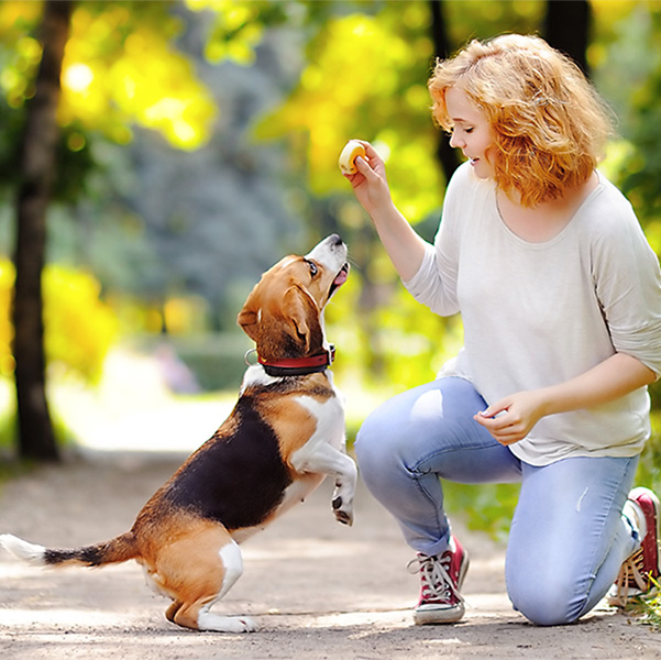 Claudia Hesse - Coaching für Hundehalter und Hundefreunde